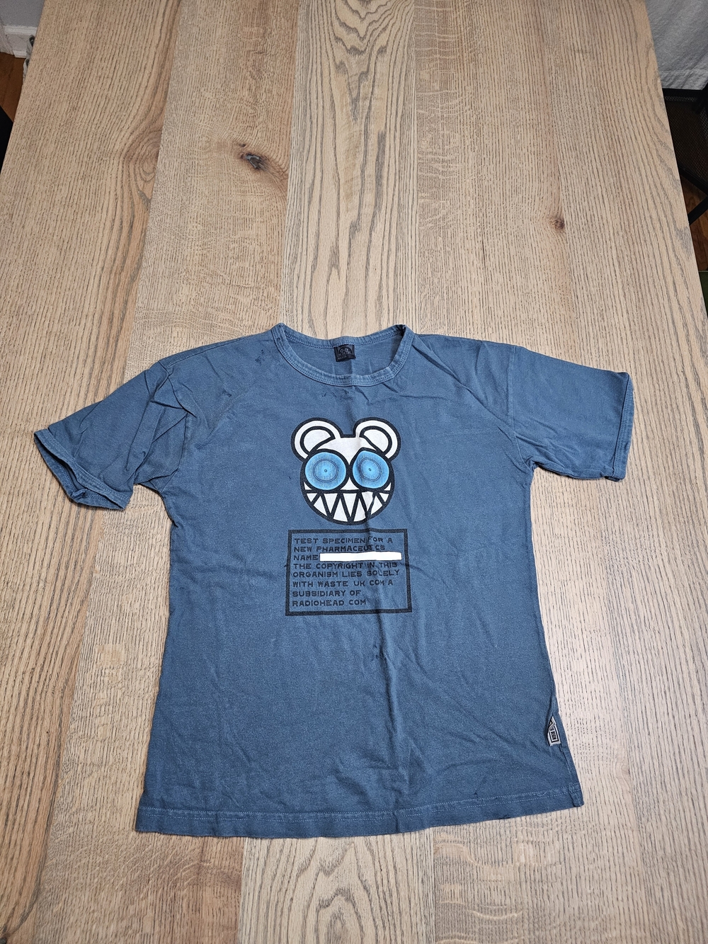 Radiohead WASTE UK Authentic 2000s Vintage Band Graphic Tee Kid A Bear